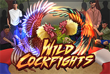 Wild Cockfight